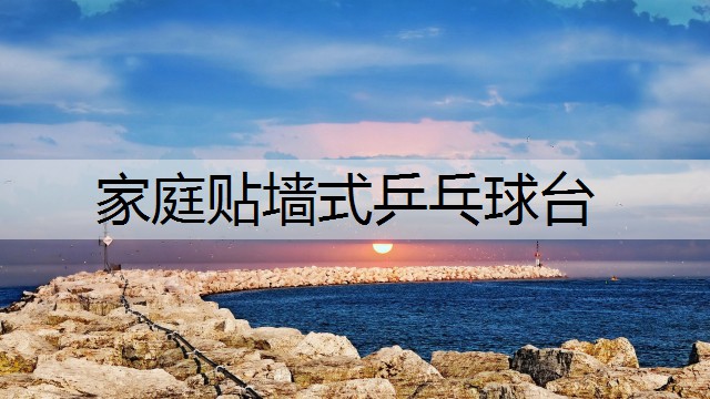 家庭贴墙式乒乓球台