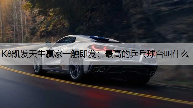 最高的乒乓球台叫什么
