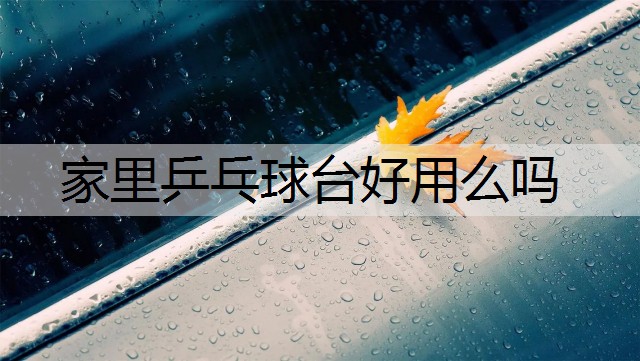 家里乒乓球台好用么吗